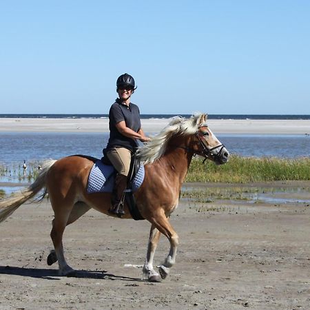Naar Zee Op Ameland Buren  Exterior photo